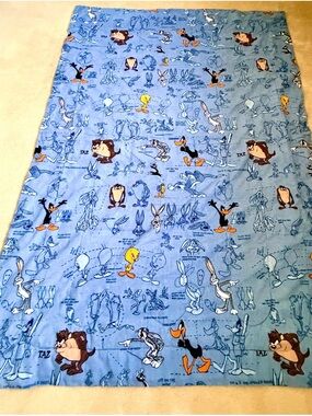 1996 Vintage Looney Tunes “Blueprint” Twin Size Comforter - Warner Bros/EUC